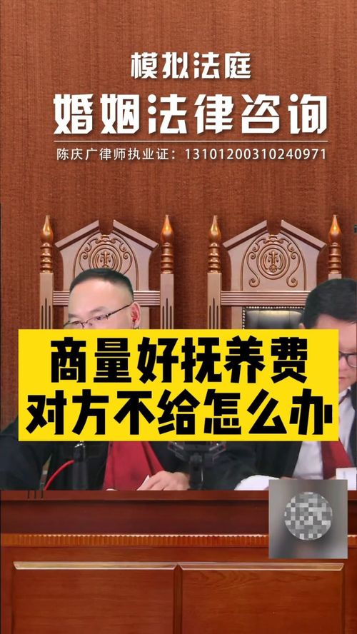 抚养费协商后对方拒不支付，法律途径如何维权？